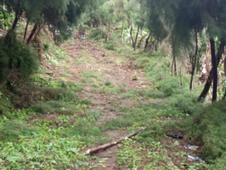 Terreno en venta para desarrollo comercial en Amatitlán - 3
