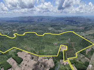 Fincas en VENTA en Aldea Palo Alto Alta Verapaz Coban - 5