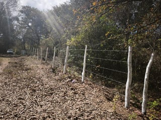 Terreno en venta, El Encinal  - 3