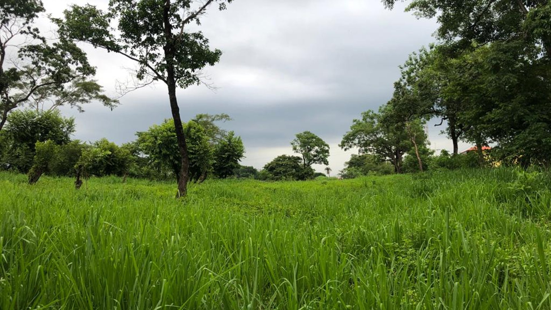 Terreno en Venta en Carretera al Puerto San José