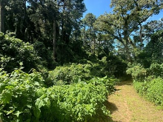 Terreno en venta zona 16, área de vistas de san Isidro - 2