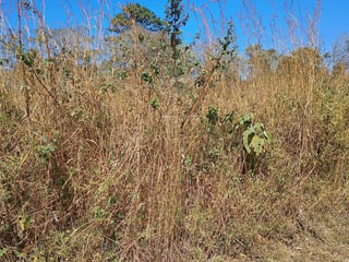 Flat Land for Sale in Alta Vista Golf Club, San José Pinula - 4