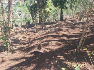 Terreno en Venta Santa Rosa de Lima - Image 4