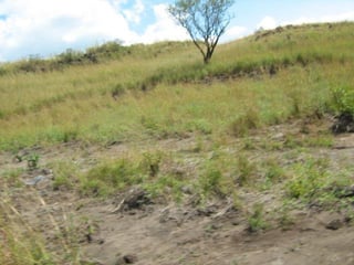 Venta Terreno Km 39 carr. Salvador Colina Encantada - 3