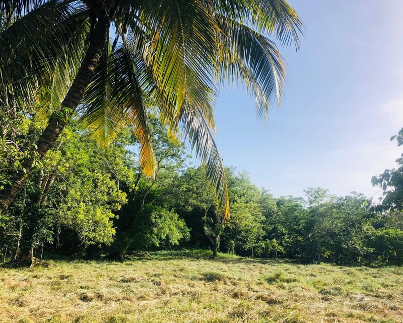 Terreno en Venta en Livingston Izabal