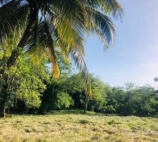 Terreno en Venta en Livingston Izabal