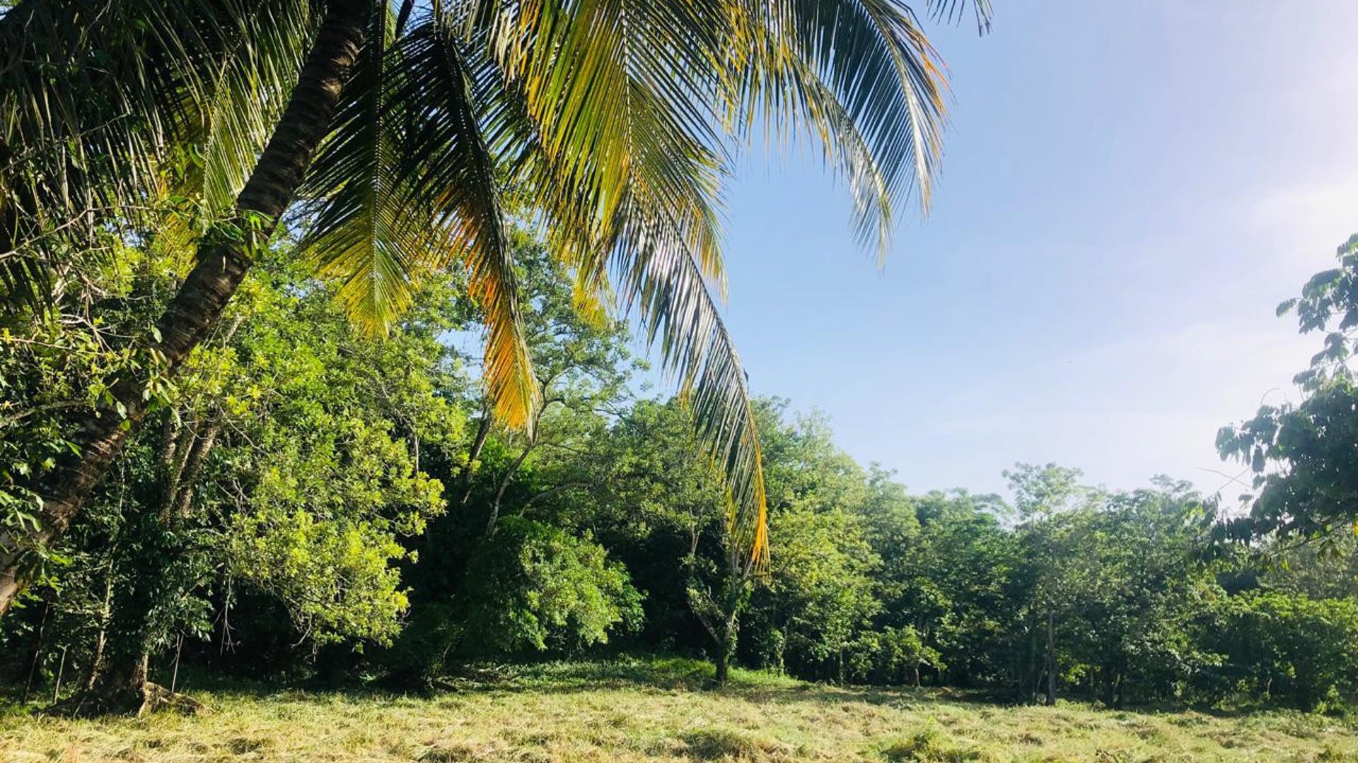 Terreno en Venta en Livingston Izabal