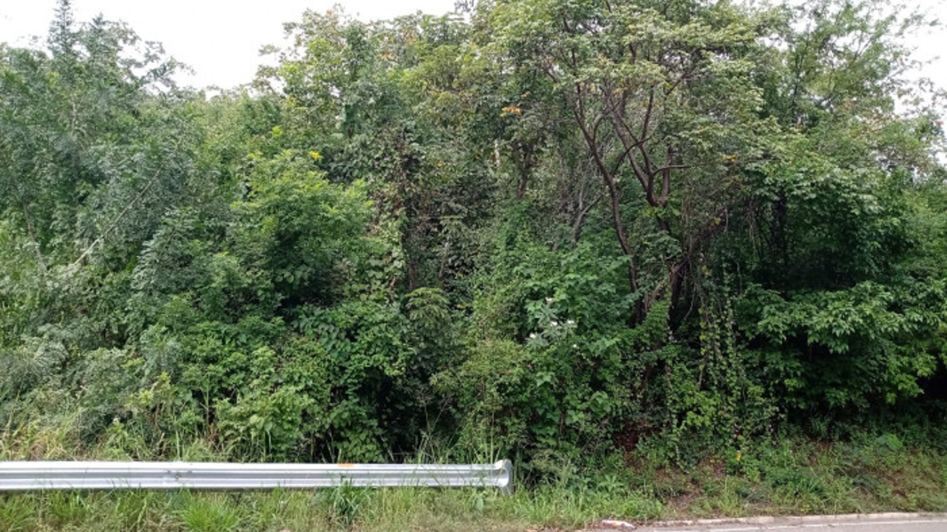Terreno en Venta  en Sanarate, El Progreso - Miniatura 5