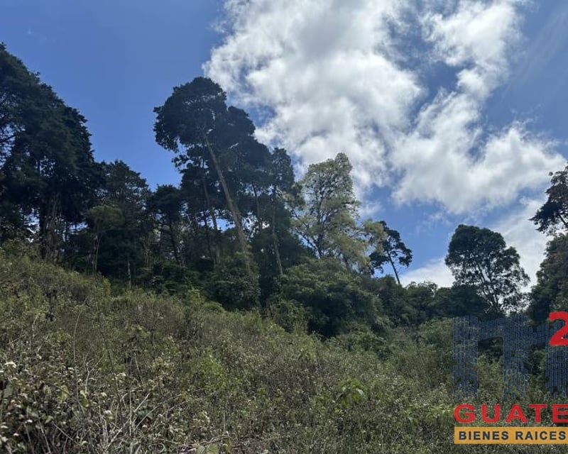 Terreno en Venta, Carretera a El Salvador (V10004)