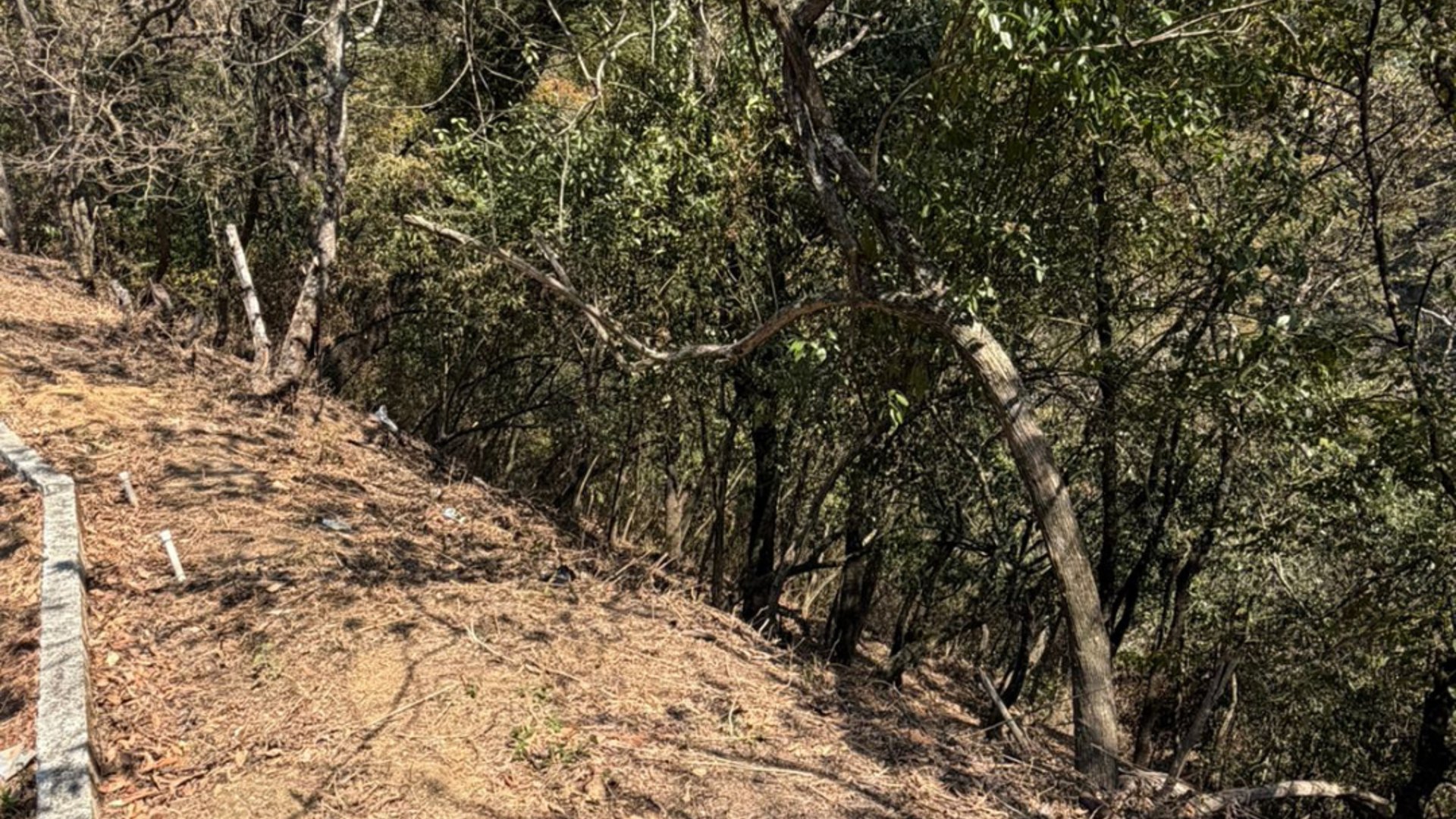 Terrenos en Venta - Mixco, Zona 1, Guatemala - ¡Oportunidad Única!