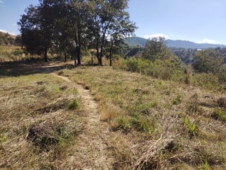 TERRENO EN VENTA EN ZONA 18 – OPORTUNIDAD PARA DESARROLLO INMOBILIARIO - 3