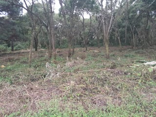 Venta terreno residencial Casa y Campo Carr. Salvador - Image 6