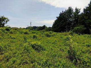 TERRENO CARRETERA A FRAIJANES  EN VENTA , CES - 4