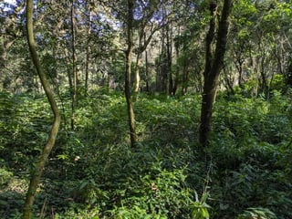 SAN LUCAS / TERRENO EN VENTA - Image 8