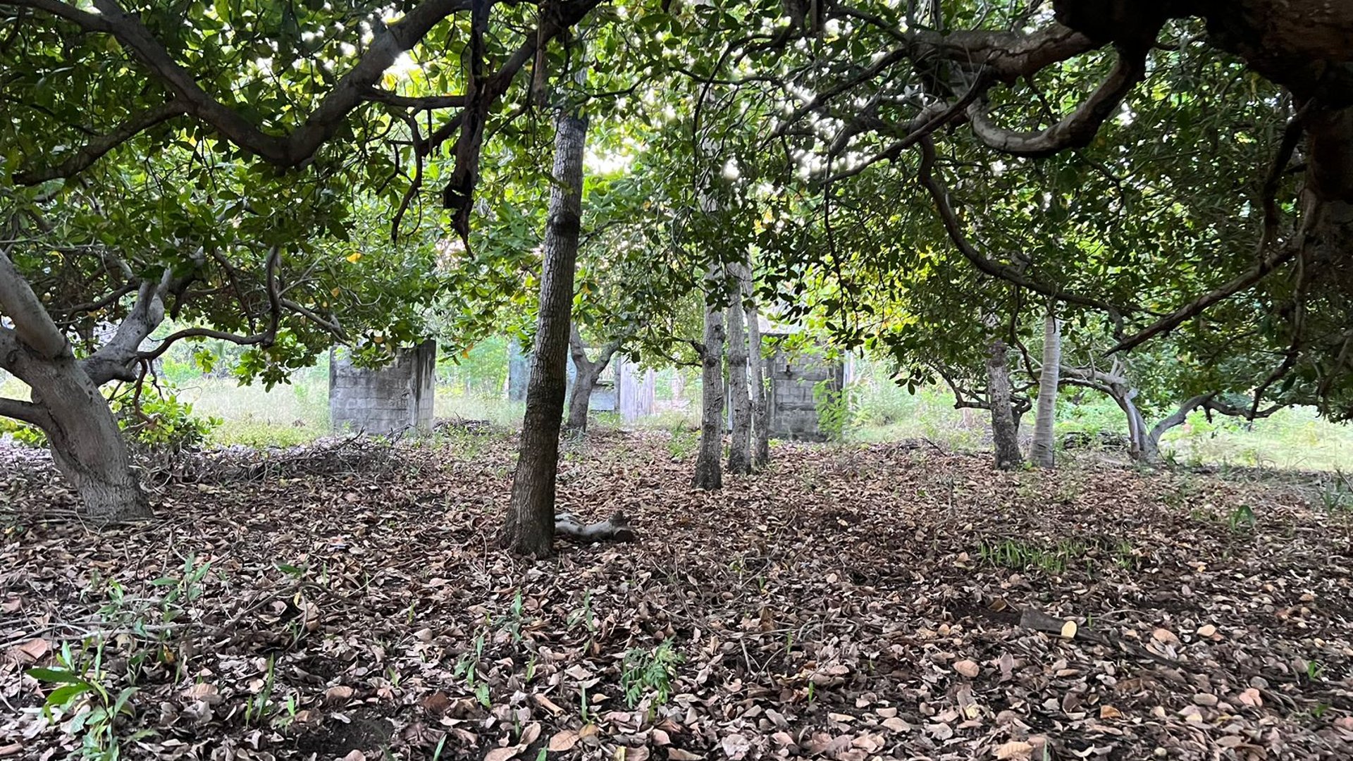 VENTA DE AMPLIO TERRENO A POCOS METROS DE LA PLAYA - MONTERRICO - Miniatura 9