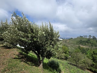 Exclusivo Terreno en venta El Pulté zona 16 Guatemala - 2
