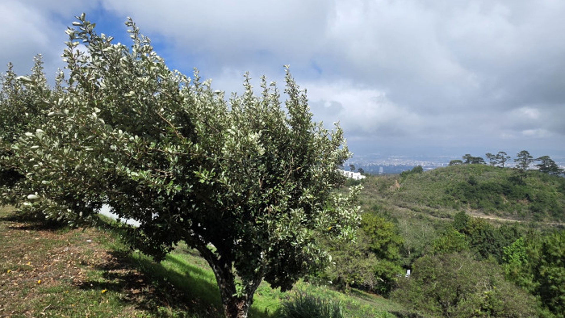 Exclusivo Terreno en venta El Pulté zona 16 Guatemala - Miniatura 2
