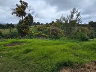 Terreno en Venta en Santiago Sacatepéquez, Sacatepequez - 2