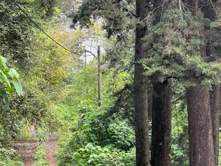 Terreno en venta en Santa Lucía Milpas Altas, Sacatepequez - 4
