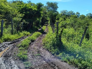 ORATORIO / Km.92 Carretera Salvador Ideal para hacer bodegas o lotificar - 5