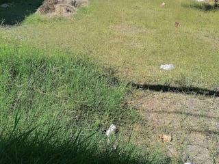 Terreno Comercial Los Álamos San Miguel Petapa - 2