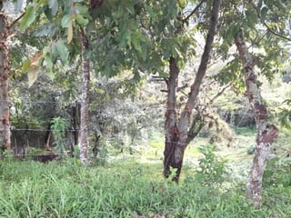 Lote en venta, Sausalito Fraijanes Km. 19.8 - 2
