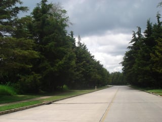 en venta en Casa   Campo Terreno plano - Image 4