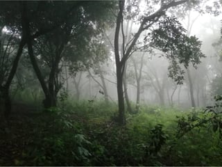 Terreno en Venta en Km 26.5 Carretera a El Salvador, 7.7 Manzanas  - 4