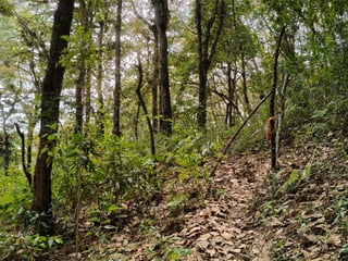 VENTA DE AMPLIO TERRENO 4,460VR2 - EL ENCINAL, MIXCO  - 3