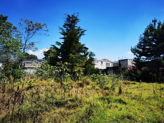 Vendo Terreno en Bosques del Eden - 2