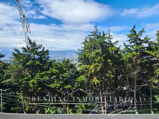 Apartment for Rent | 2 Bedrooms + 2 Parking Spaces | Vista Bella I, Carretera a El Salvador - Image 9