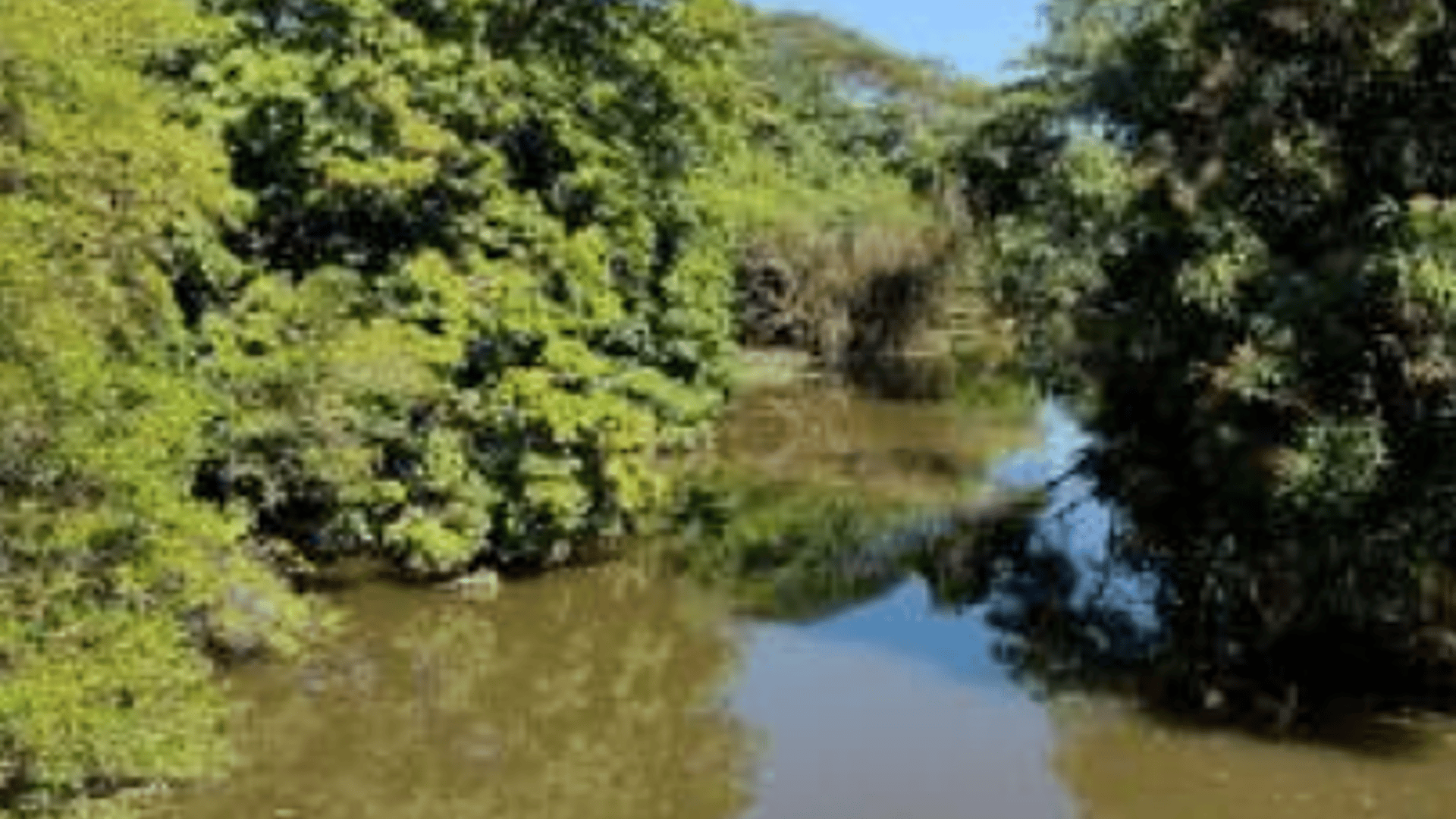 Terreno en VENTA en las Lisas Chiquimulilla - Miniatura 2