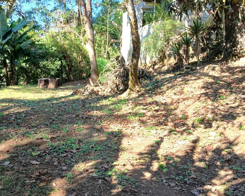 VENTA DE TERRENO EN LO DE DIEGUEZ