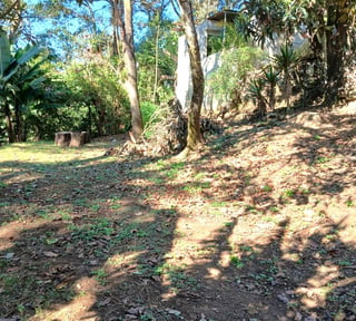 VENTA DE TERRENO EN LO DE DIEGUEZ