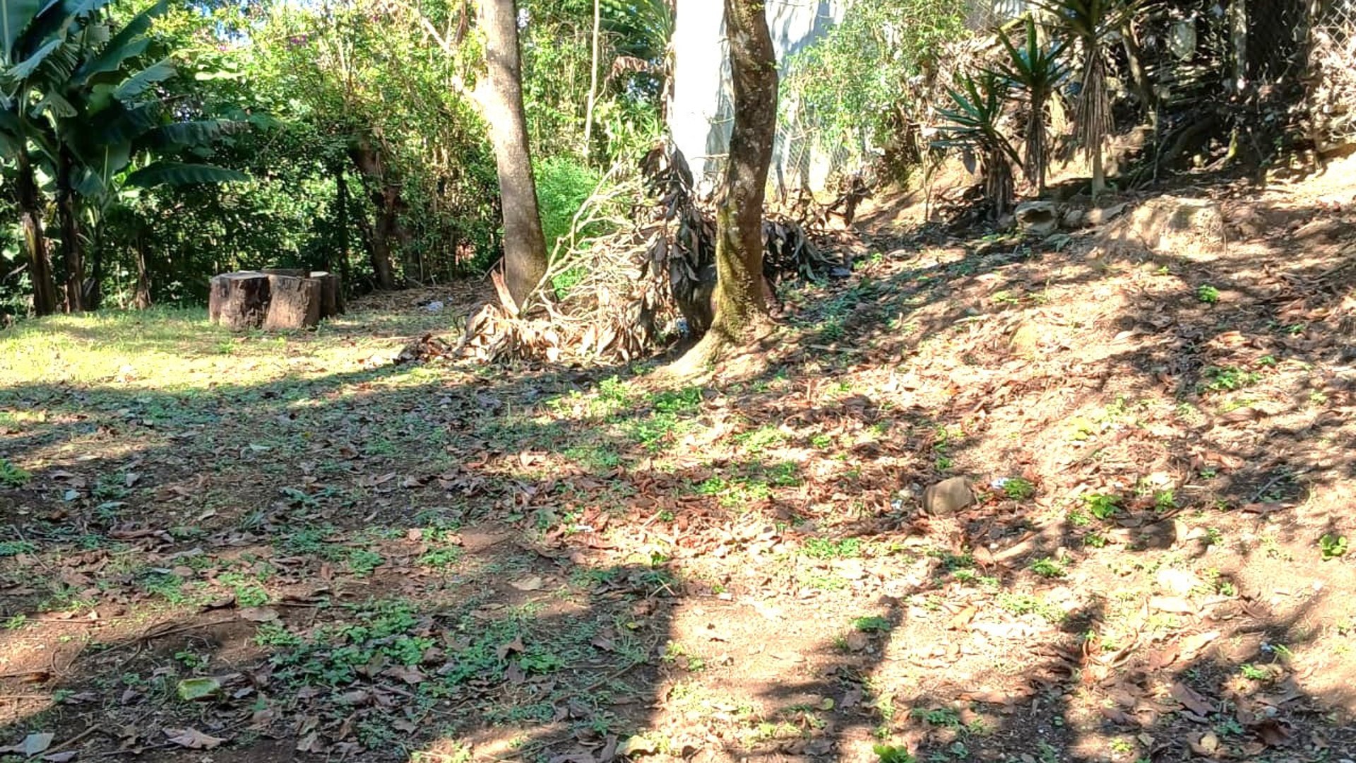 VENTA DE TERRENO EN LO DE DIEGUEZ