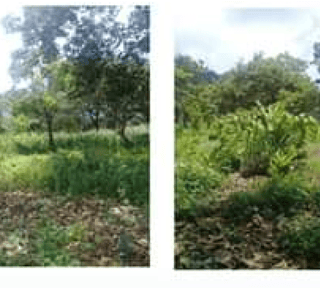 Venta de granja, Palín  - Miniatura 2