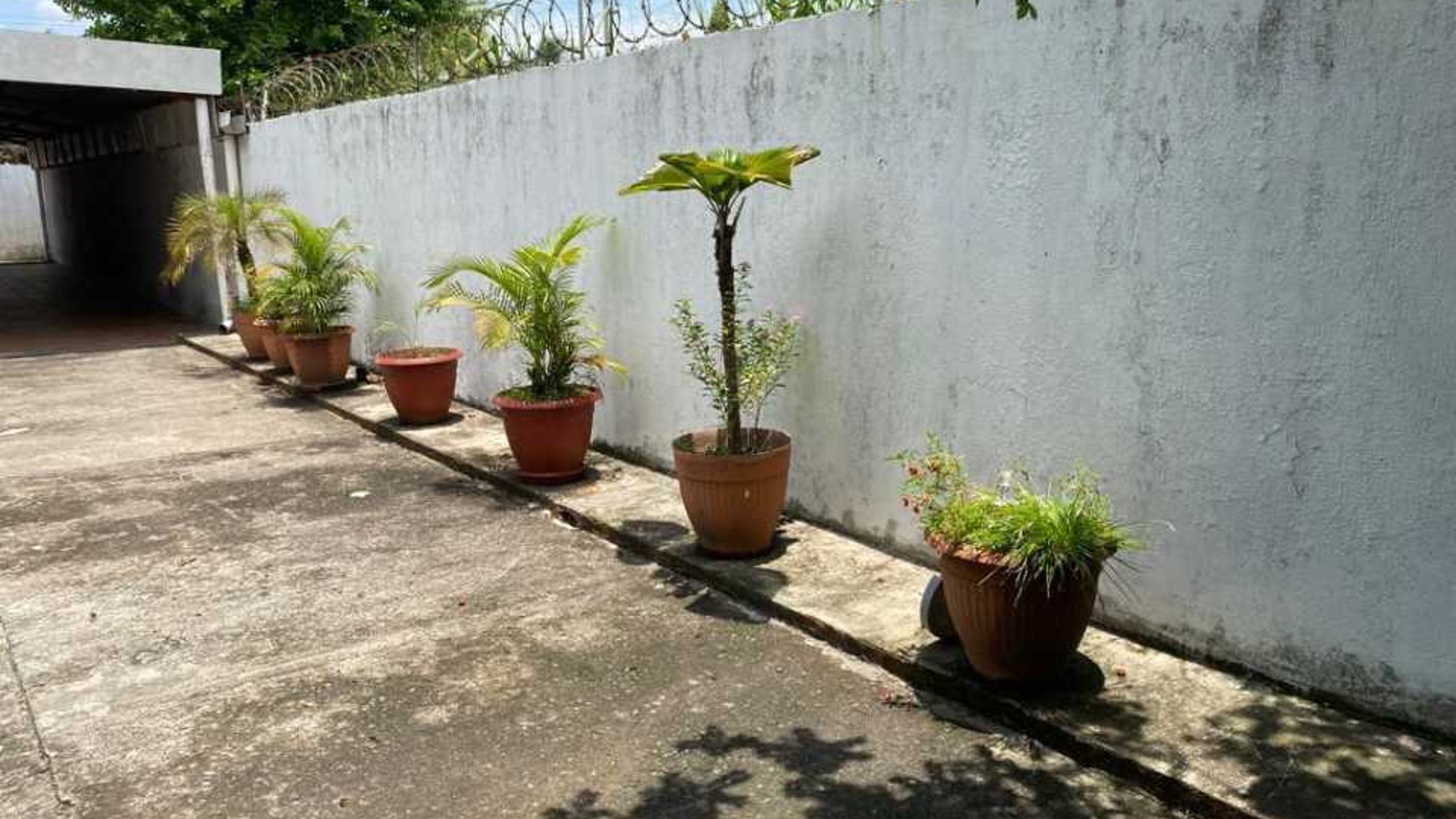 Escuintla vendo casa - Miniatura 7
