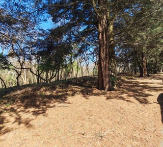 Terreno en Casa   Campo en Venta