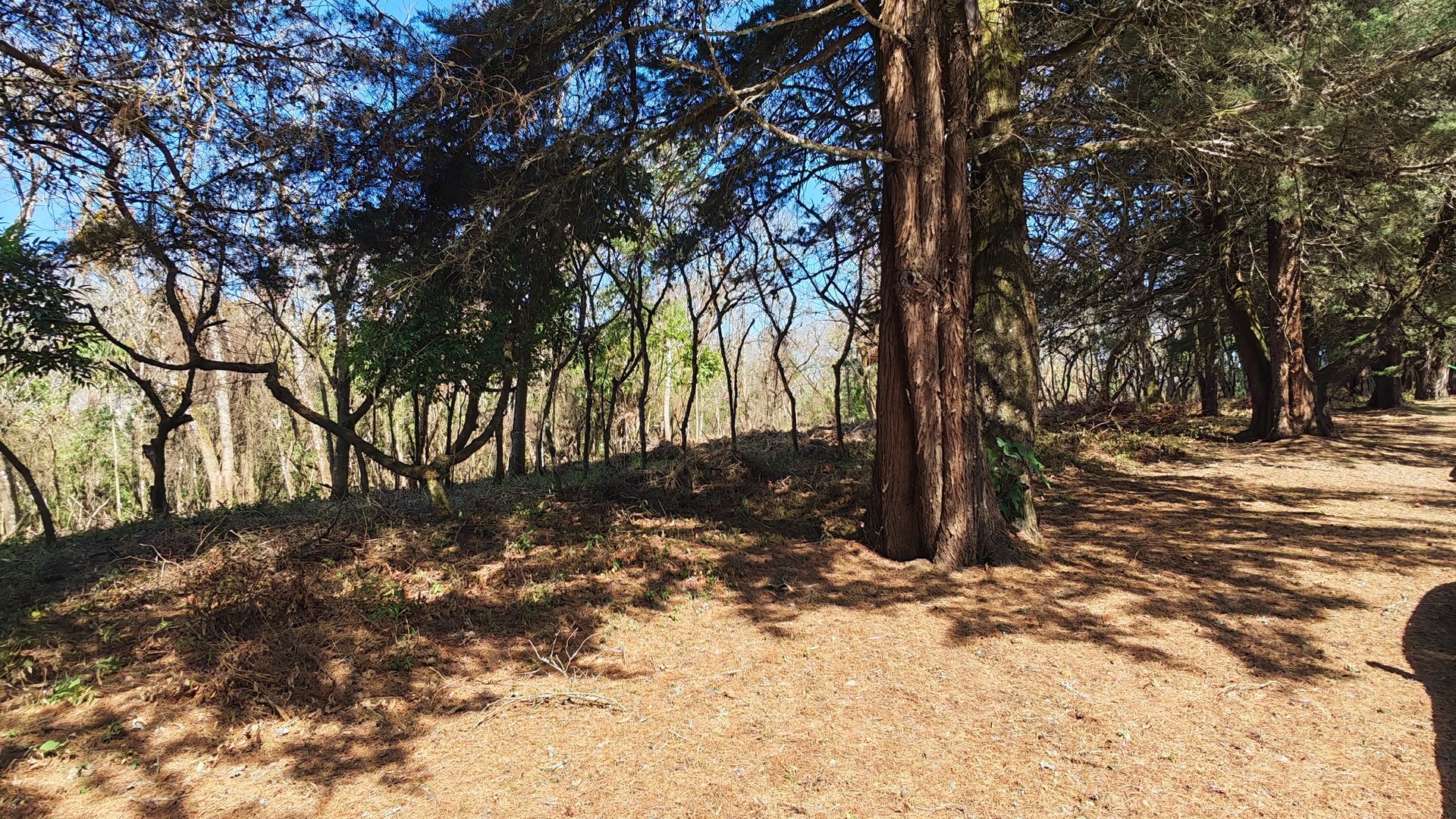 Terreno en Casa   Campo en Venta