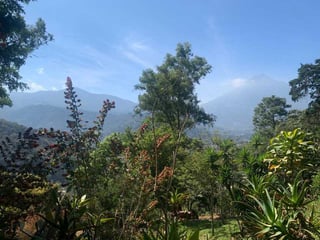 TERRENO HERMOSO EN EL HATO ANTIGUA - 2