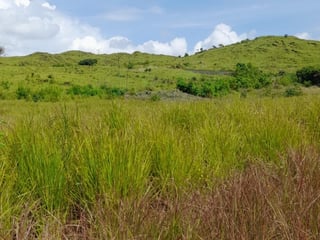 Vendo Terreno km 39.5 Carretera a El Salvador - 2
