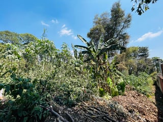 VENTA DE AMPLIO TERRENO - EL ENCINAL, ZONA 7 DE MIXCO  - Image 8