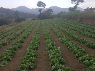 Venta de Terreno Rustico en Sacatepéquez - 4
