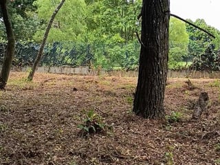 Terreno en VENTA en  Casa y Campo - 3