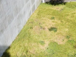 Terreno en Venta Terravista Coventry Carr a El Salvador - Image 9