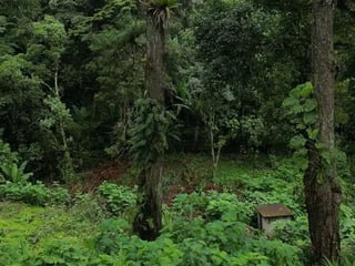 SANTA ROSALÍA / Terrenos en venta km 12.5 santa Rosalía - 3