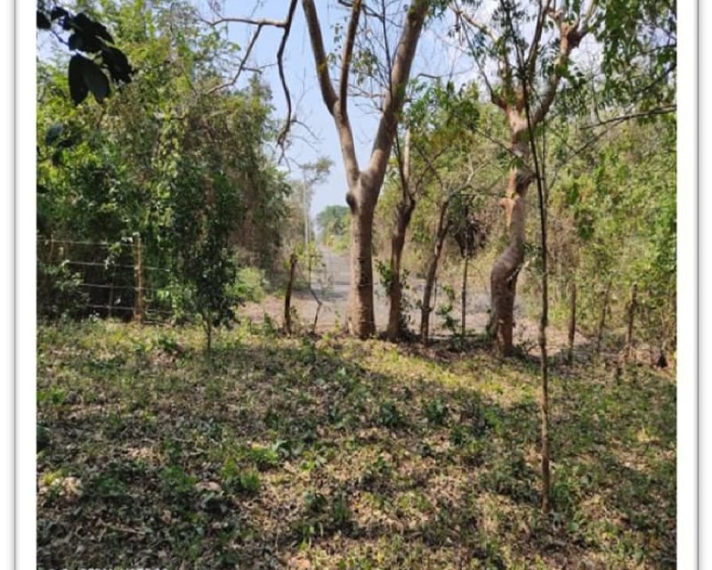 Vendo terreno residencial en Escuintla