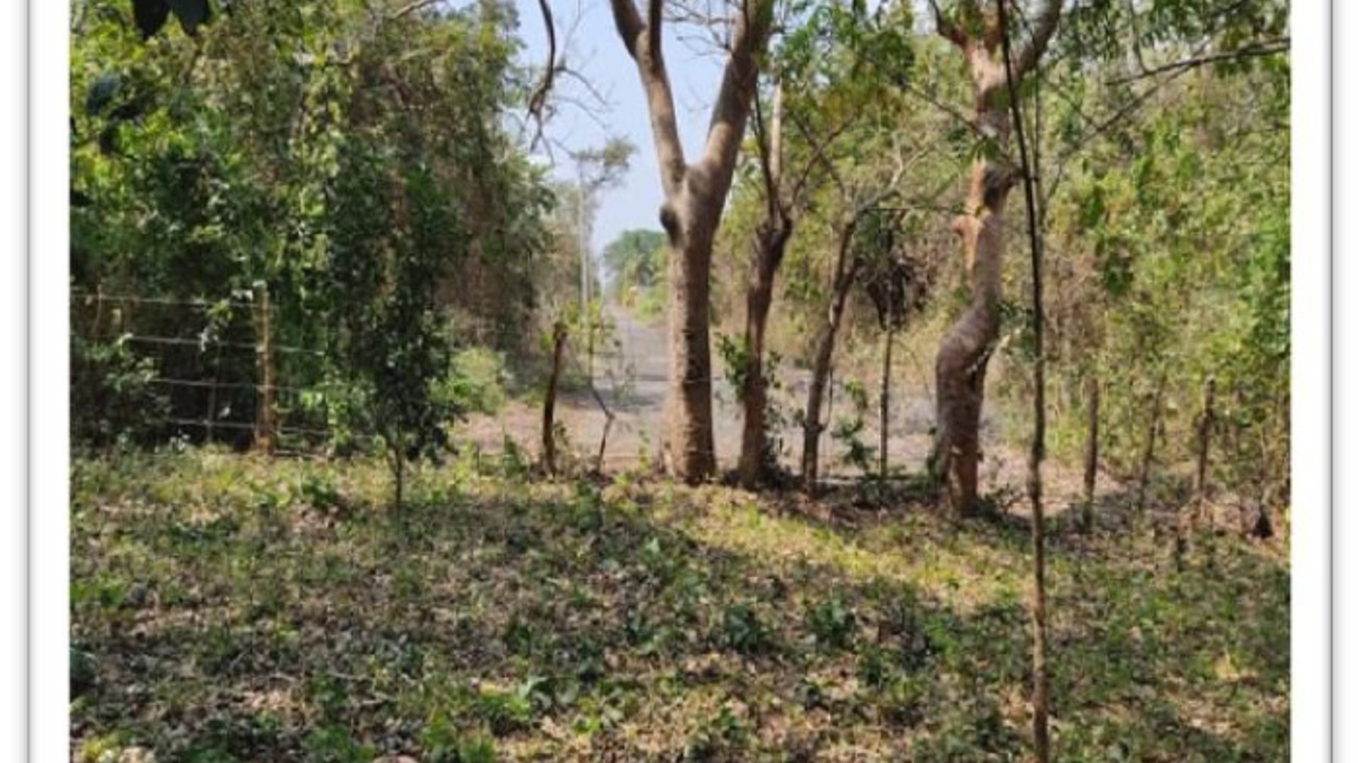 Vendo terreno residencial en Escuintla