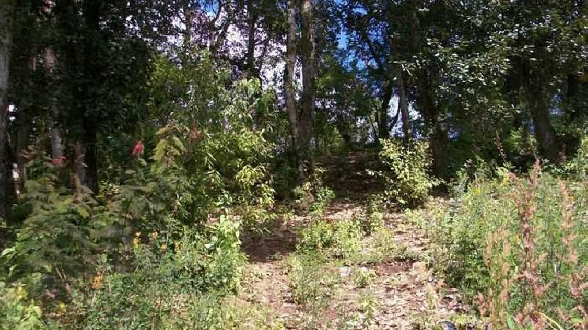 Terreno en venta en Aldea Chichorin San Lucas - Miniatura 6