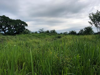 Terreno en Venta en Carretera al Puerto San José - 4